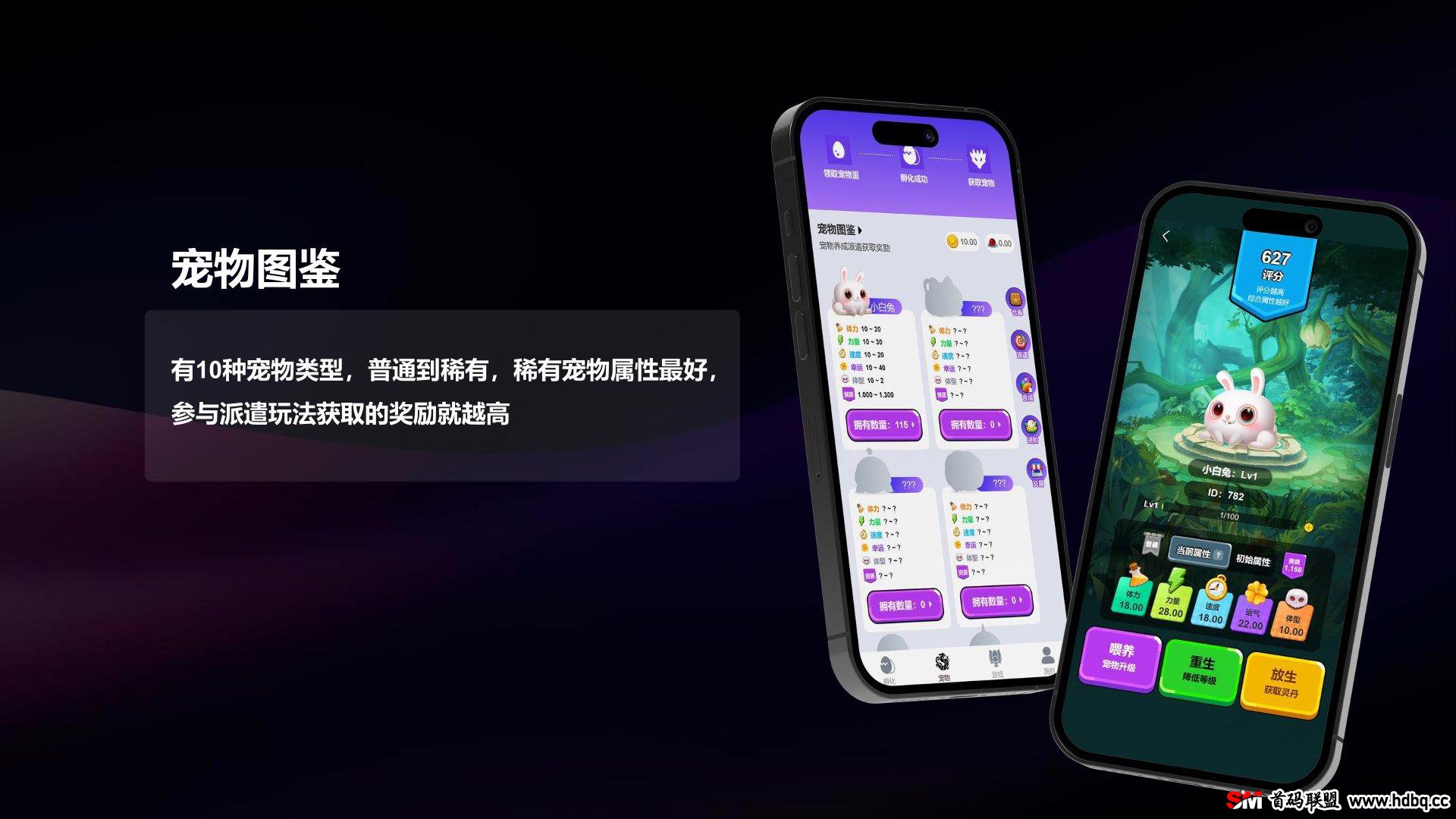 动物城即将首码上线，官方扶持，对接各大团队长拿渠道收溢！
