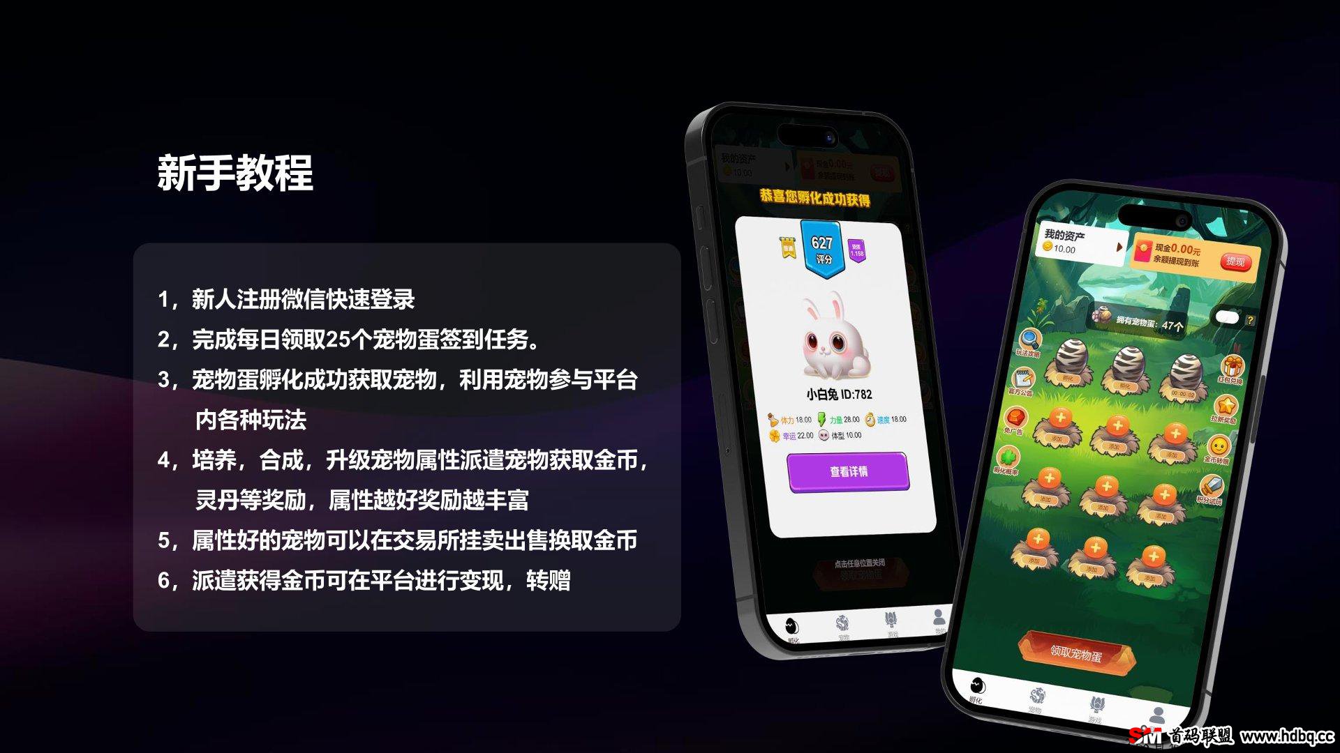 动物城即将首码上线，官方扶持，对接各大团队长拿渠道收溢！