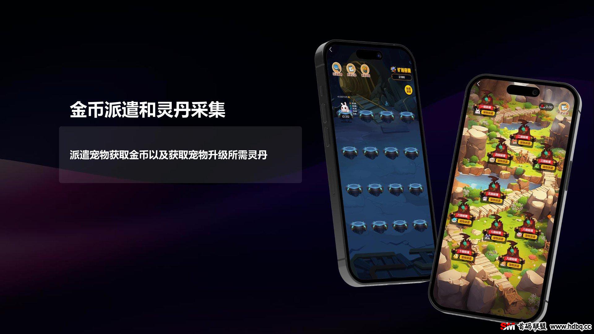 动物城即将首码上线，官方扶持，对接各大团队长拿渠道收溢！