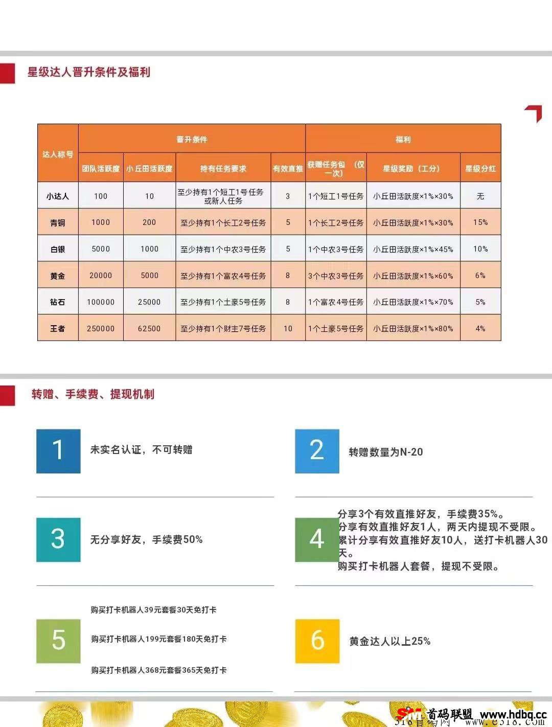 首码【凤凰潮】一个不平凡的零撸打卡赚，做团队赚到爆单