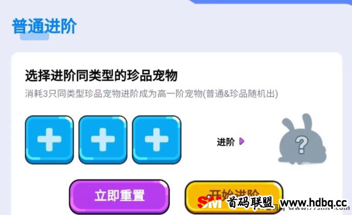 《动物城》宠物养成宝典：深入解析合成、吞噬与进阶三大培养技巧，让你的宠物更强大！