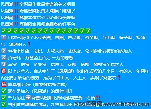 凤凰潮：零风险副业新选择，高补贴团队长每推1奖励20米！
