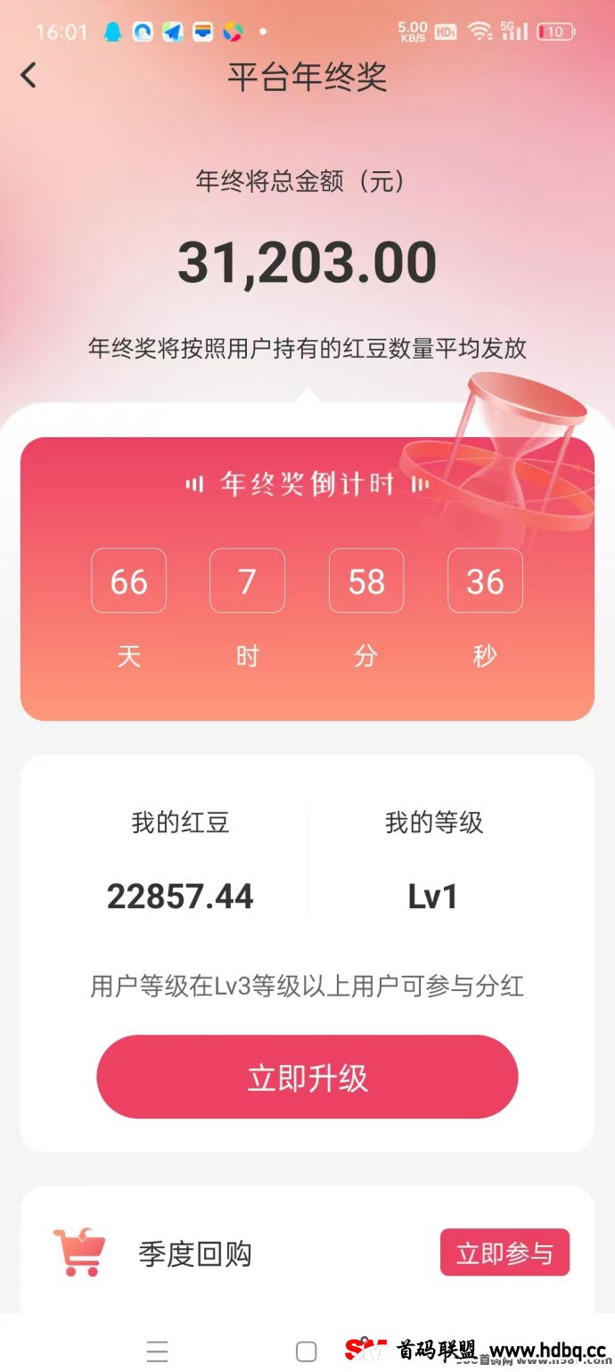 红联网络：24号上线的纯0撸橡木，高收溢领跑副业！