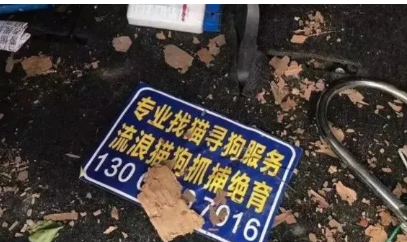 靠宠物赚钱的冷门生意