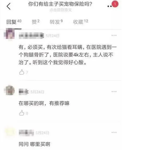 靠宠物赚钱的冷门生意