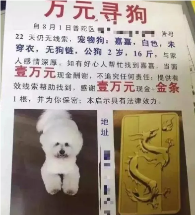 靠宠物赚钱的冷门生意