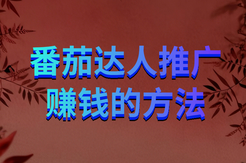 番茄达人推广赚钱的方法