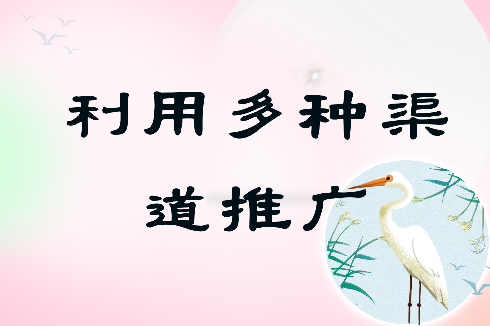 利用多种渠道推广