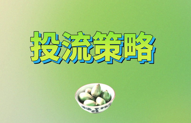 投流策略