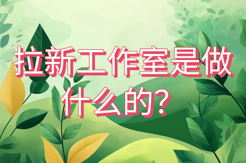拉新工作室是做什么的？