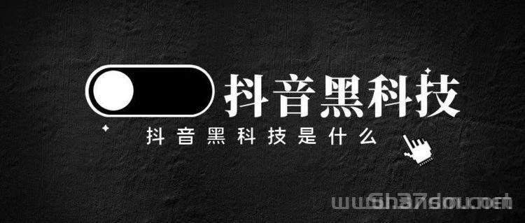 揭秘网红抖音黑科技项目赚米逻辑，看完让你颠覆认知！快手挂铁挂假人涨粉神器，招募合伙人