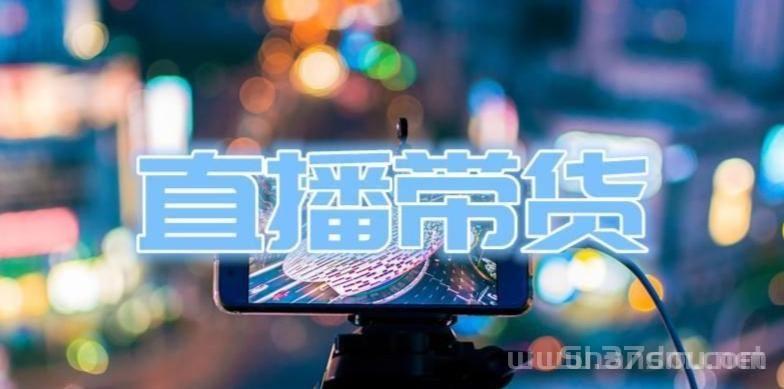 揭秘网红抖音黑科技项目赚米逻辑，看完让你颠覆认知！快手挂铁挂假人涨粉神器，招募合伙人