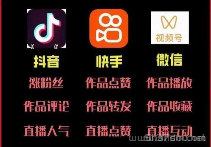 揭秘网红抖音黑科技项目赚米逻辑，看完让你颠覆认知！快手挂铁挂假人涨粉神器，招募合伙人