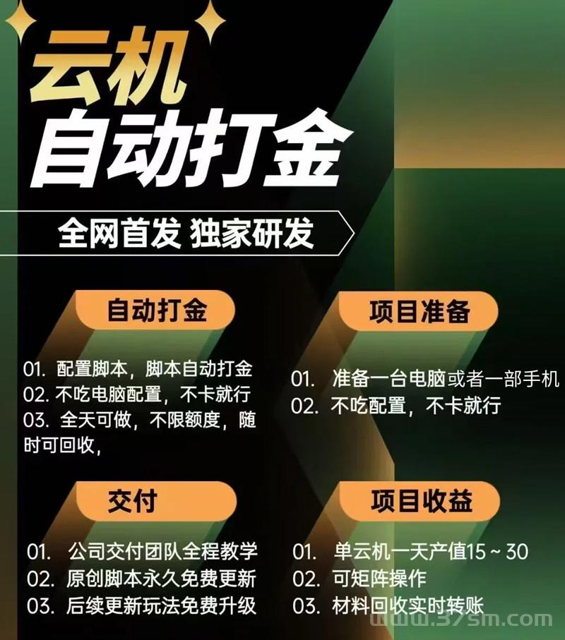 全自动挂机，游戏打金，实操独家项目，一天收益高1000+