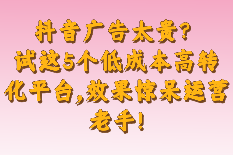 2025年网络广告推广平台推荐，这5个小众渠道转化率竟超百度、抖音