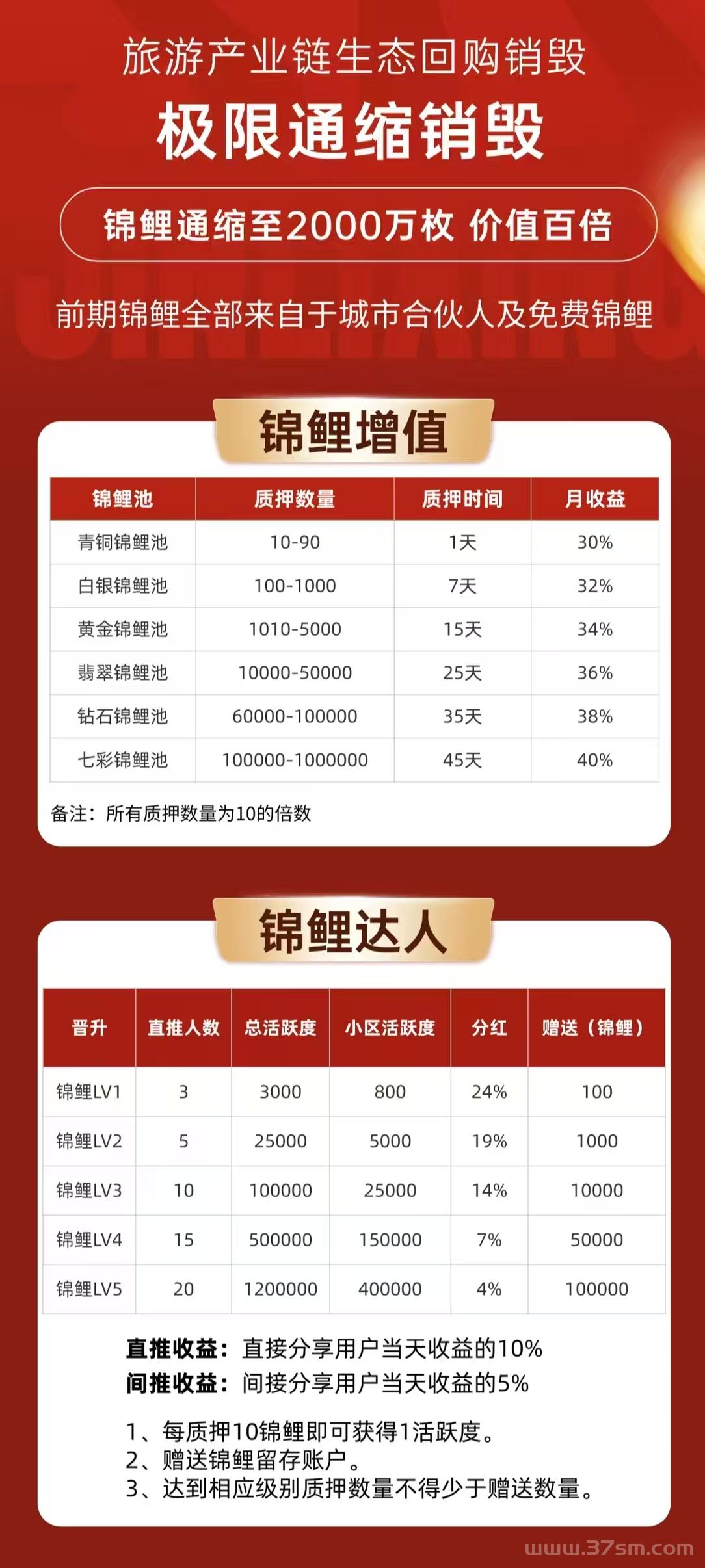 首码锦鲤行才出，0撸新玩法，实体项目