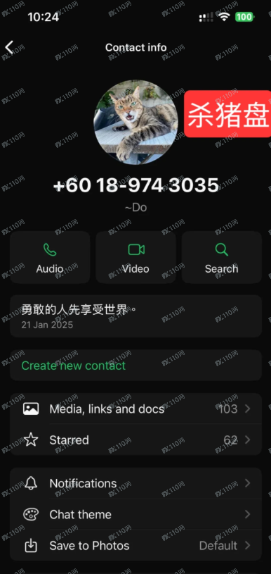 USDT虚假交易所杀猪盘