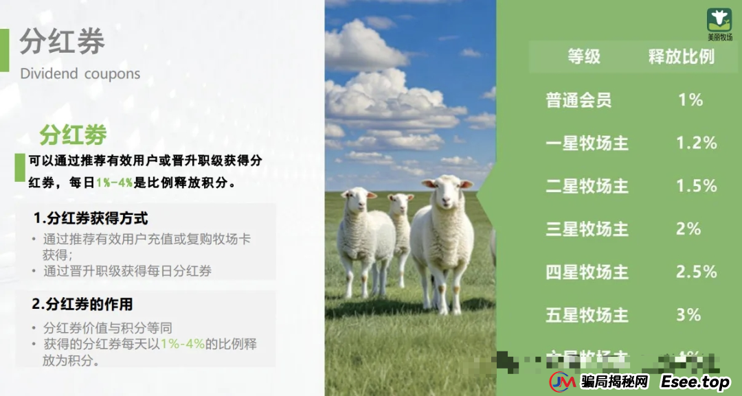 小心！“美丽牧场”是个坑人的资金盘项目，投资者面临血本无归！！！