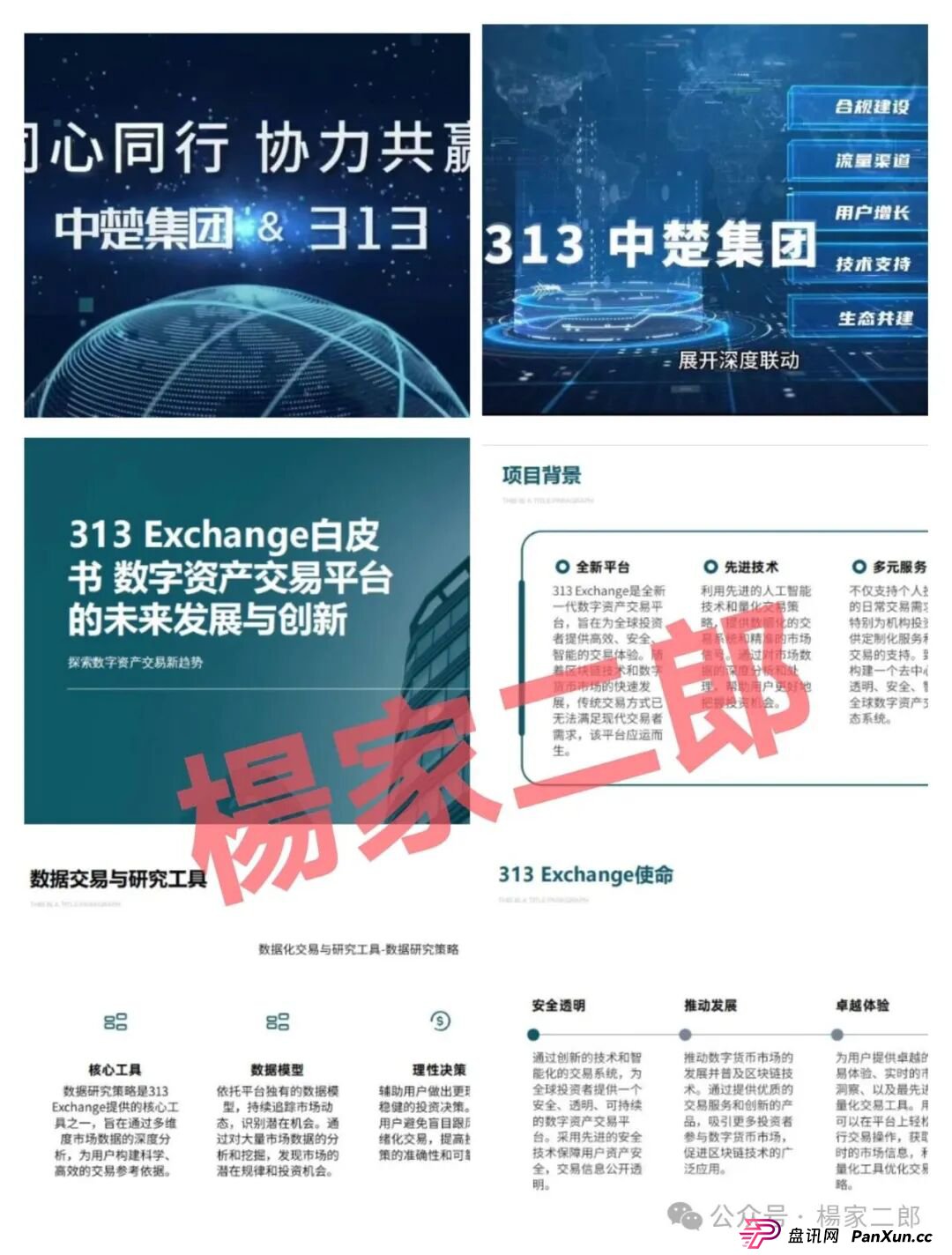 “中楚集团313交易所”跟单类资金盘骗局，已拔网线彻底凉凉