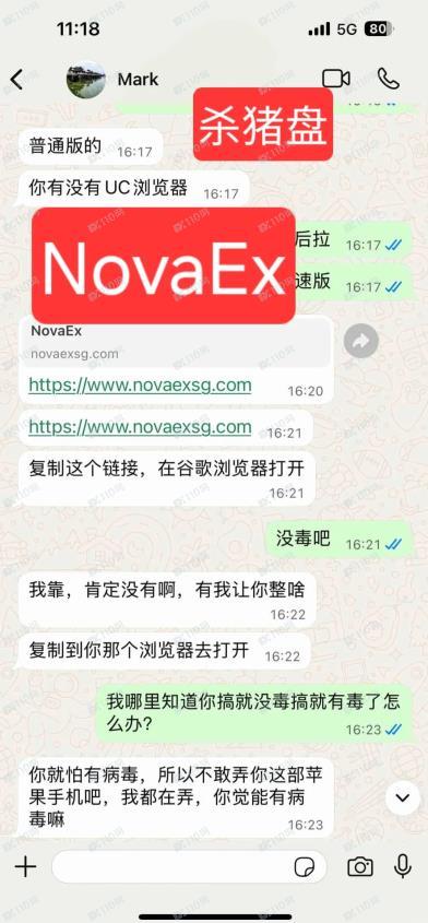 NovaEx杀猪盘