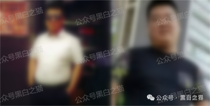 Veridian（维盛社区）资金盘骗局，已经单割，即将崩盘跑路