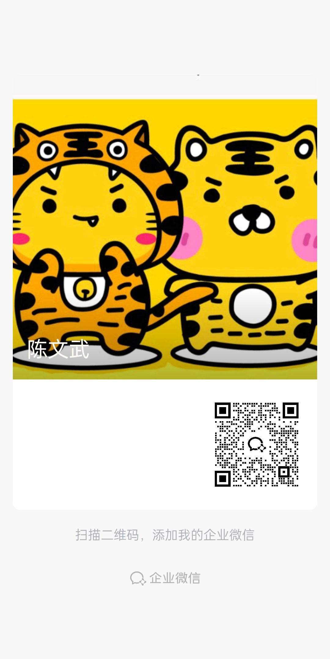 猫猫阅读赚钱长期项目四年老台