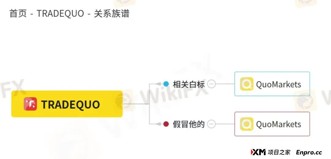 百倍的收益曲线难掩真相 为何TRADEQUO平台的跟单不可信! 百倍的收益曲线难掩真相 为何TRADEQUO平台的跟单不可信!