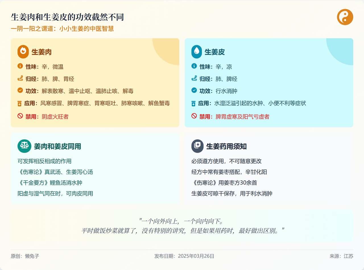 &amp;#8220;魔法提示词&amp;#8221;，让你一键生成可在线访问的设计师级网页