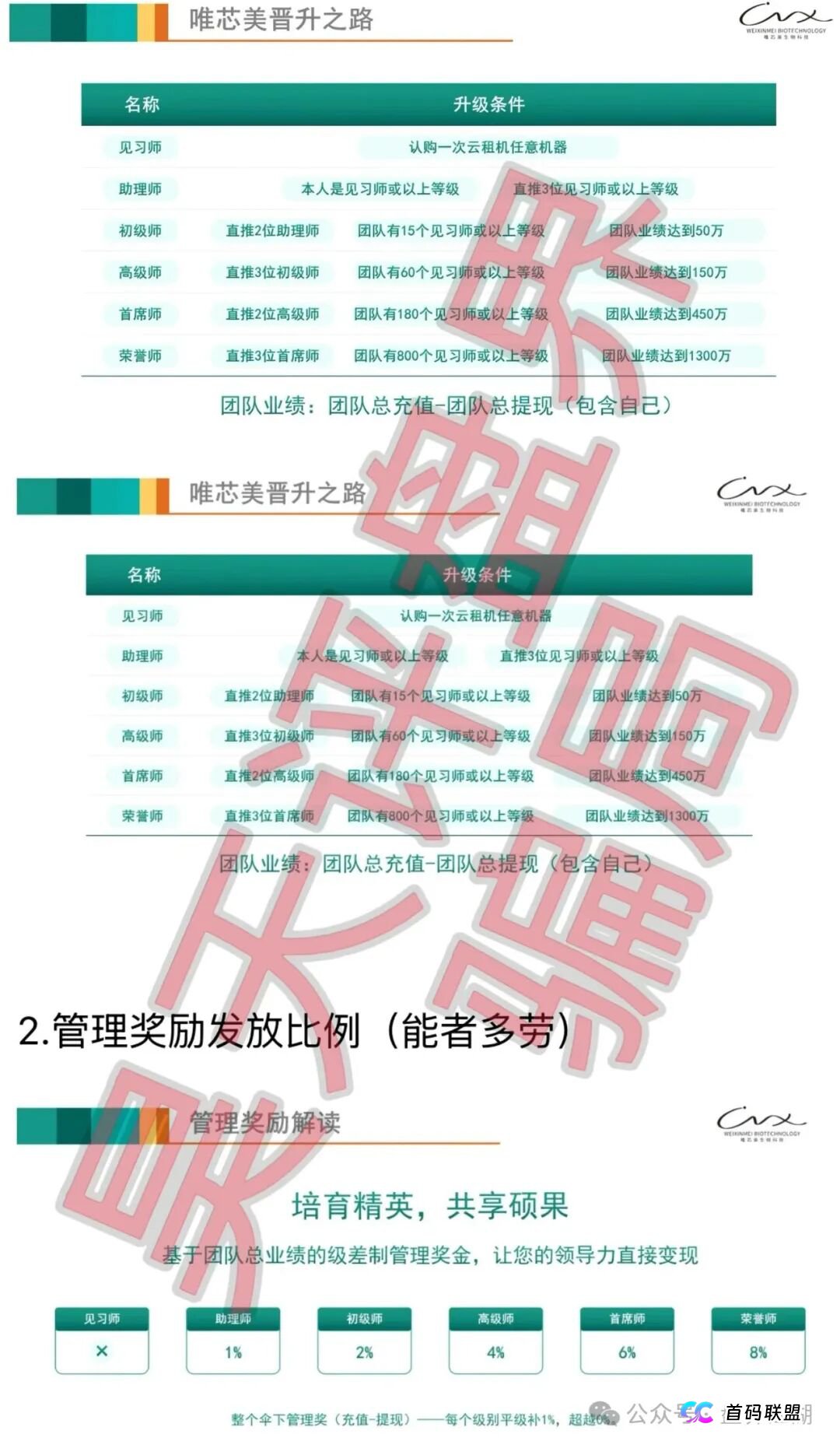 学会这五招，一眼看穿“唯芯美”们，从此远离所有资金盘！