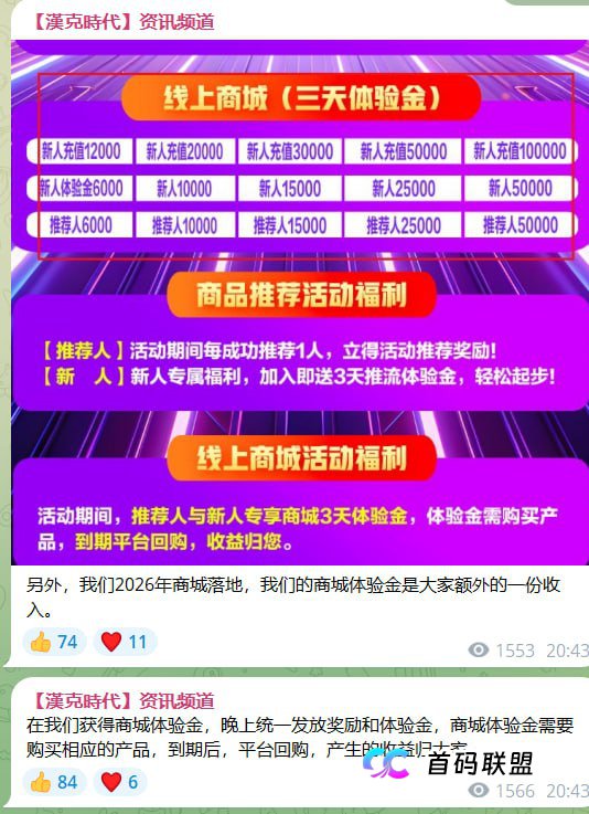 最后的警报:汉克时代正疯狂拉新,这是跑路前的“回光返照”!(4) 最后的警报:汉克时代正疯狂拉新,这是跑路前的“回光返照”!(4)