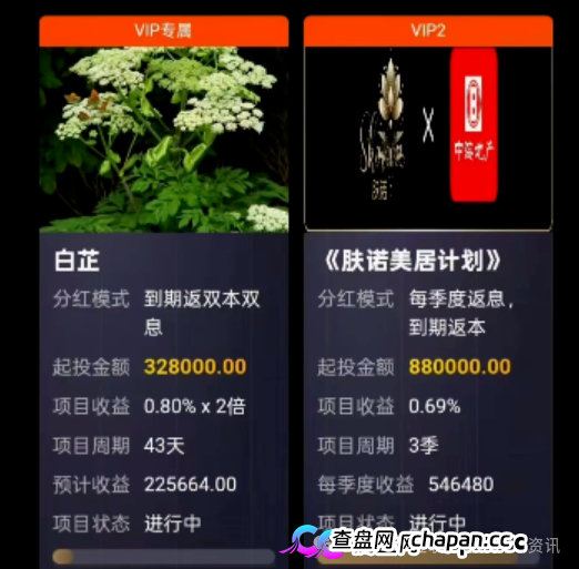 最新曝光18个资金盘虚拟币骗局项目，有些即将崩盘