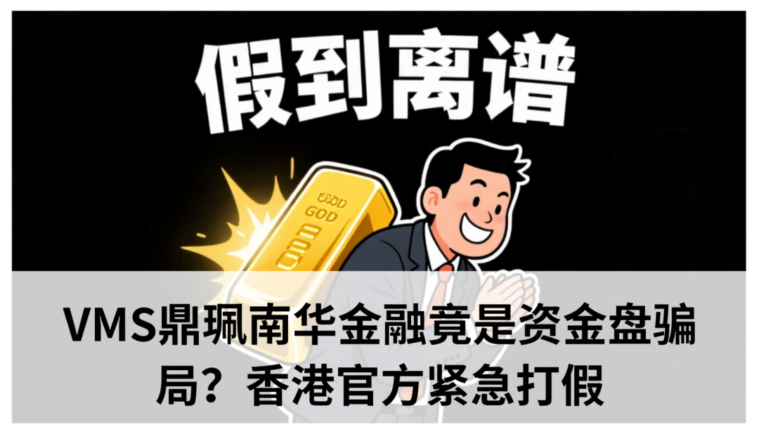 vms鼎佩跟投每天赚米？VMS鼎珮南华金融竟是资金盘骗局？香港官方紧急打假​