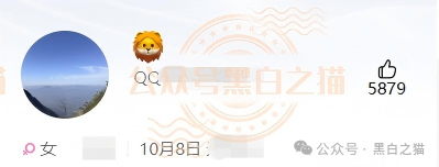 “金河资本”大结局?狗推凌晨3点投诉、境外邮箱洗白、国内团队长瑟瑟发抖——你每投诉一次,曝光就多一篇!(9) “金河资本”大结局?狗推凌晨3点投诉、境外邮箱洗白、国内团队长瑟瑟发抖——你每投诉一次,曝光就多一篇!(9)